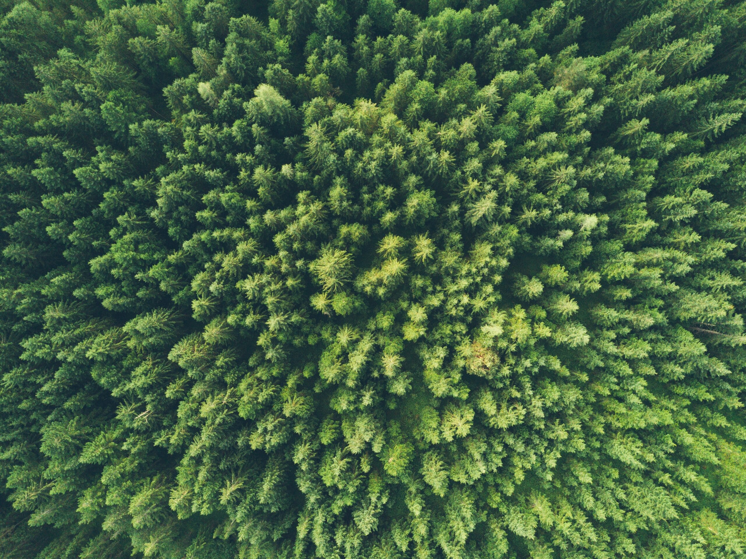 Face à l'urgence écologique, comment pouvons-nous transformer l'enseignement supérieur ?